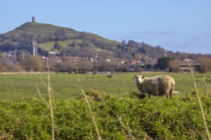 X-Press OnDemand Digital Presses and Printing systems in the heart of Somerset